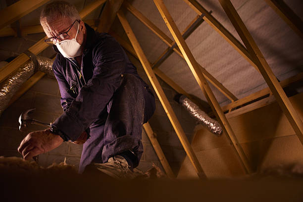 Attic Insulation Near Me in West Blocton, AL